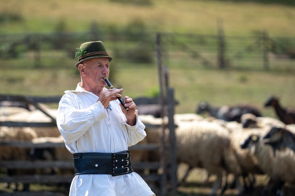 Photograph by Arcu Catalin