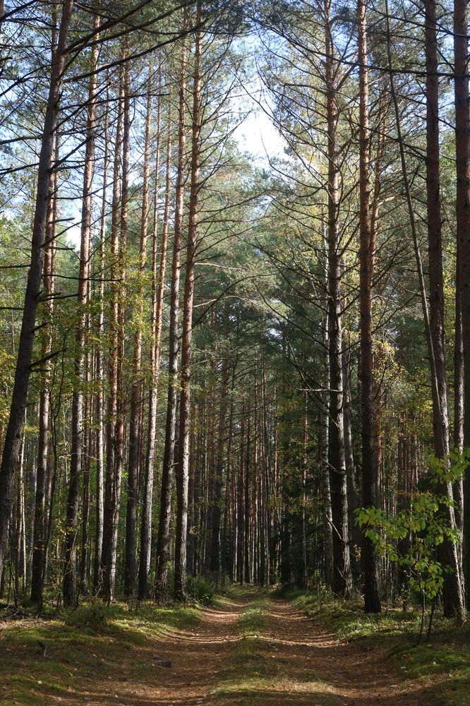 Photograph by Надежда Зайцева