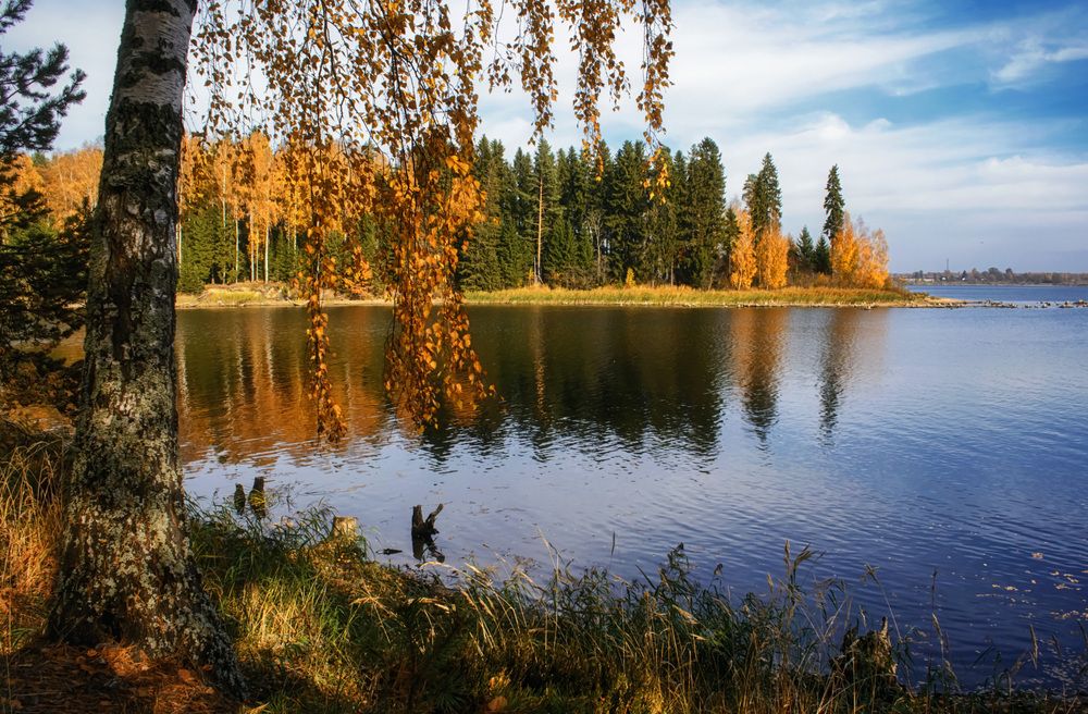 В осеннем лесу.