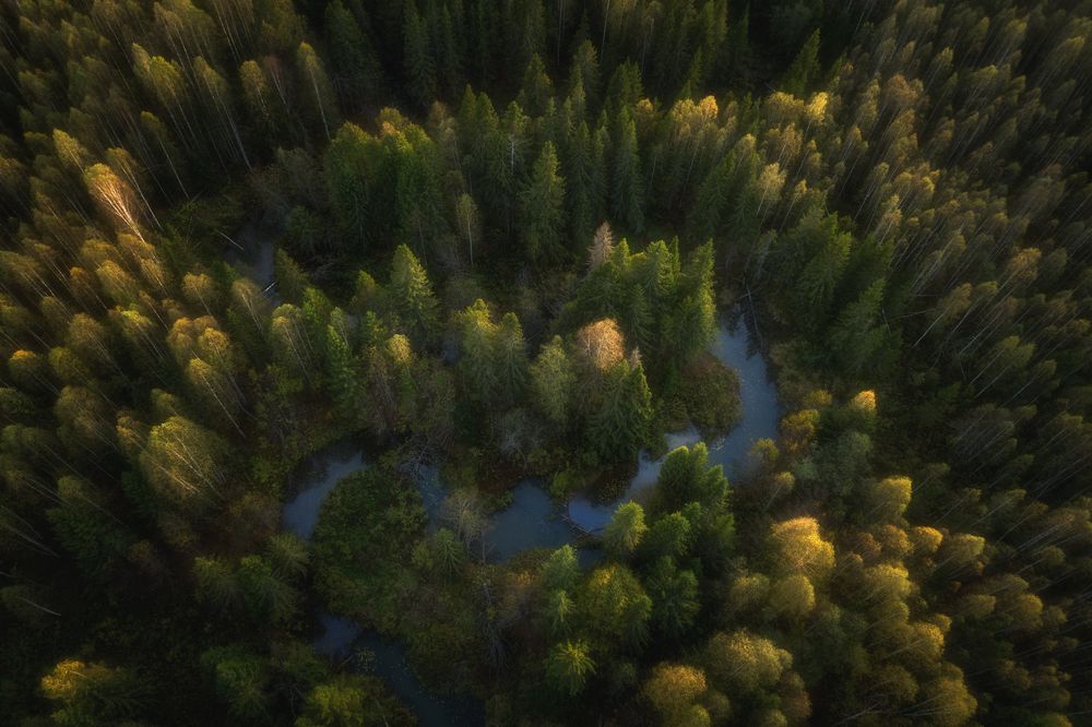 Photograph by Antson Elvis