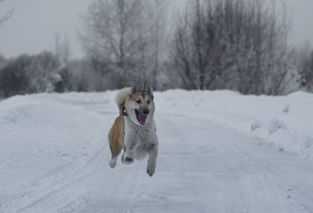 Photograph by Юрий Митенёв