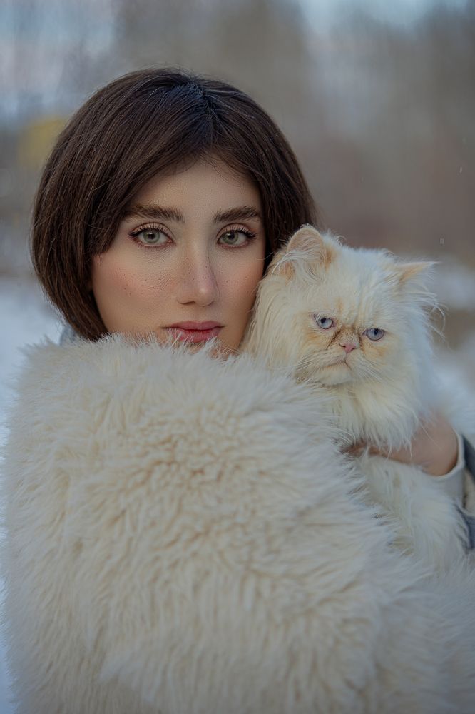 Фотография автора Reza Shabani