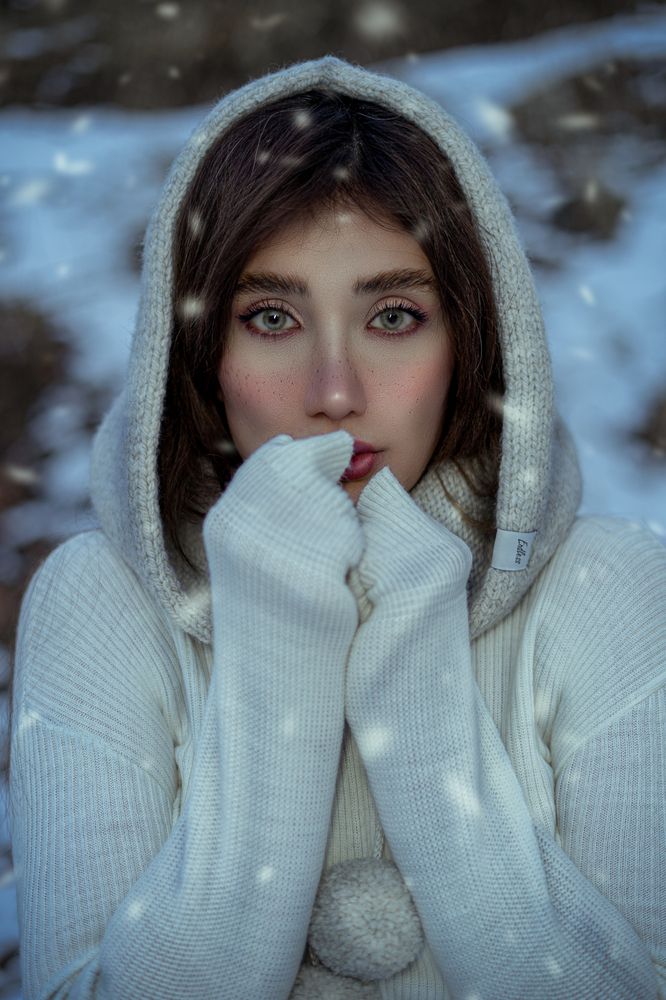 Фотография автора Reza Shabani