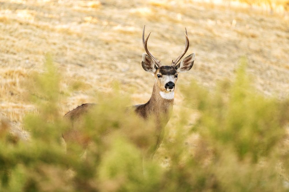 Photograph by Elena Tishenko