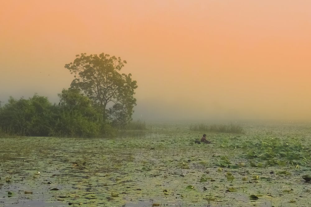 Photograph by M. Maleesha Sathsara Perera