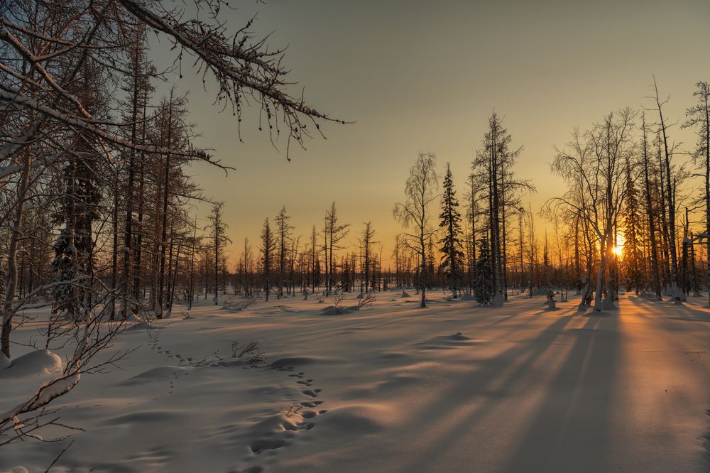 Photograph by Ирина Ульянова