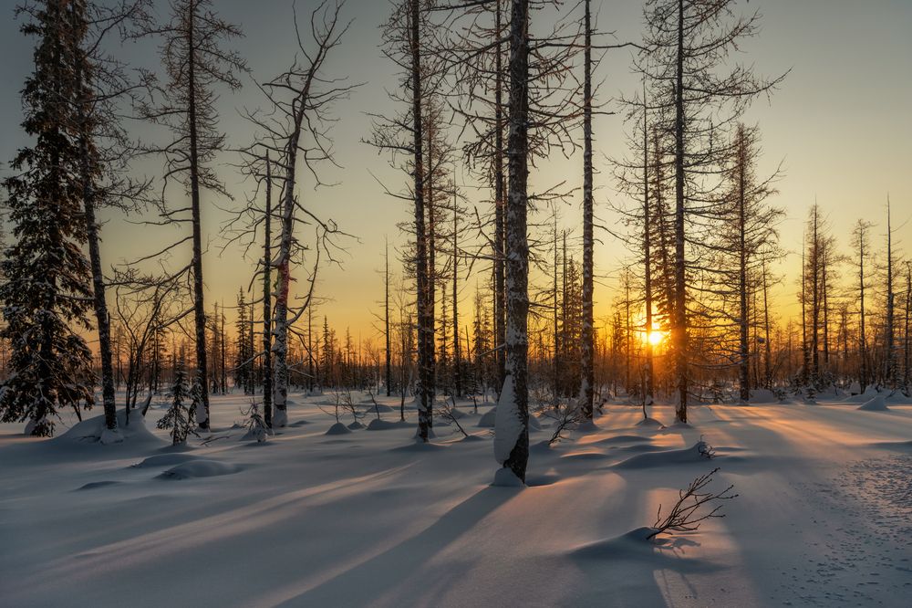 Photograph by Ирина Ульянова