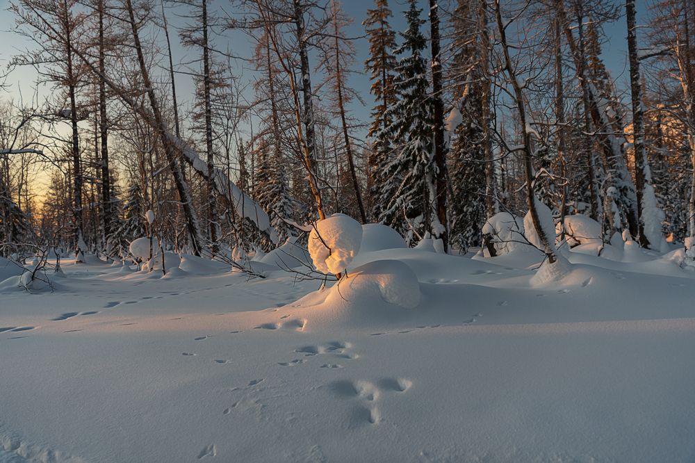 Photograph by Ирина Ульянова