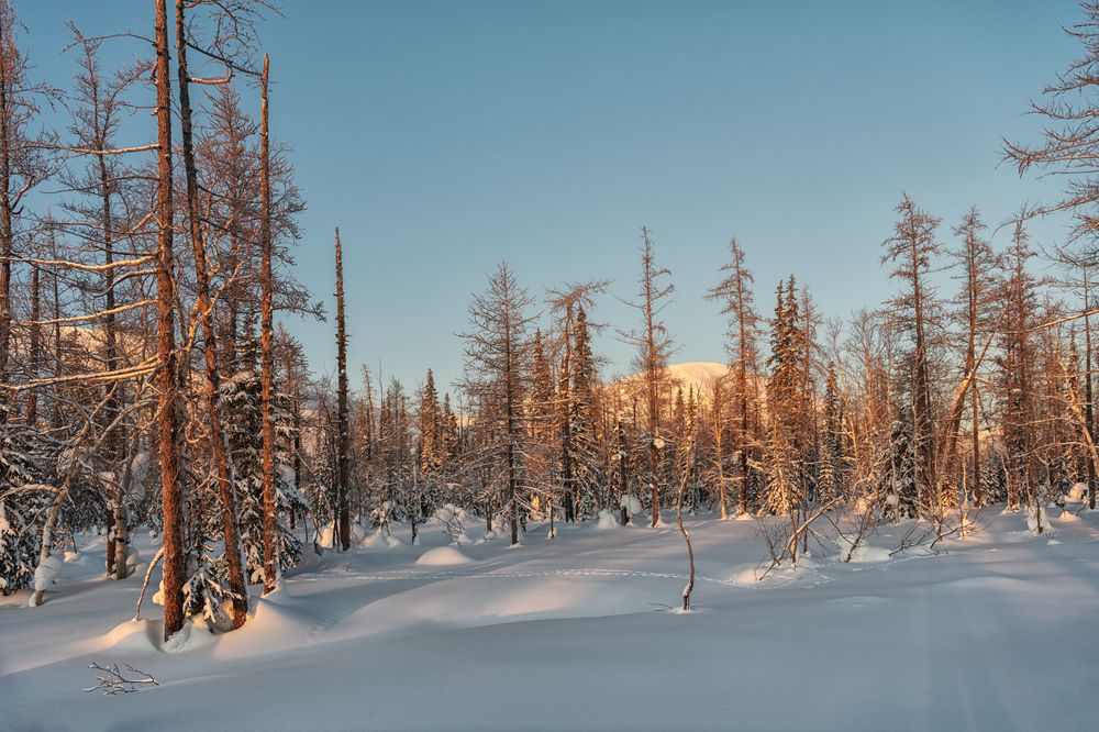 Photograph by Ирина Ульянова