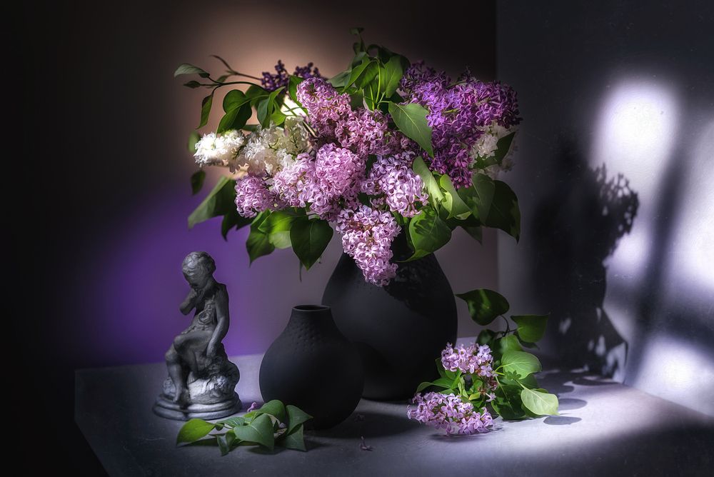 Фотография автора Ольга Яр