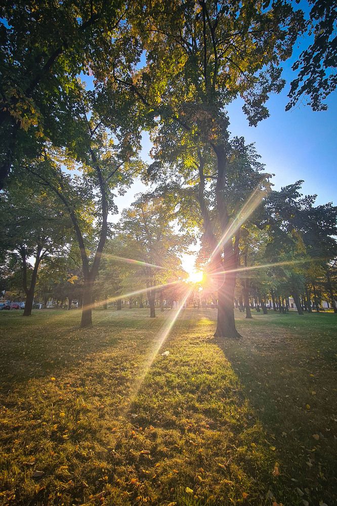 Photograph by Нели Арнаудова