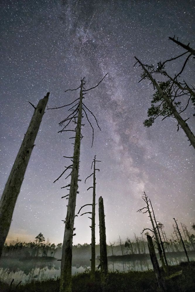 Фотография автора Elvijs Kalnins