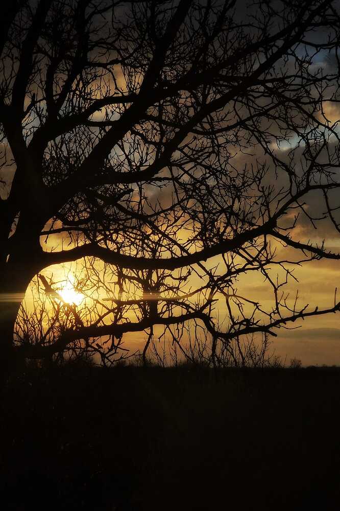 Photograph by Нели Арнаудова