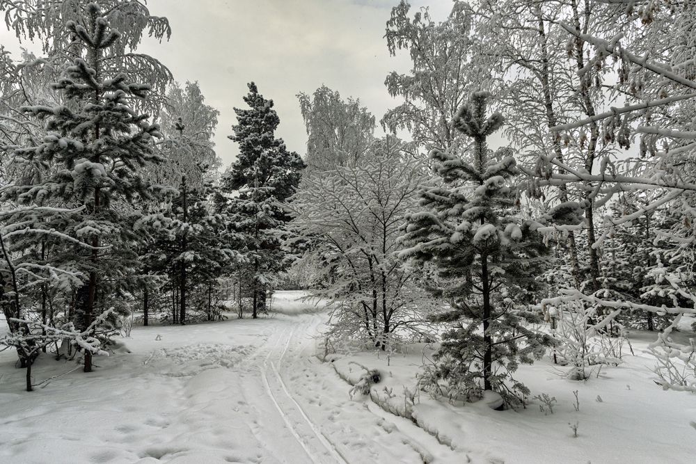 Photograph by Кирилл Аксенов