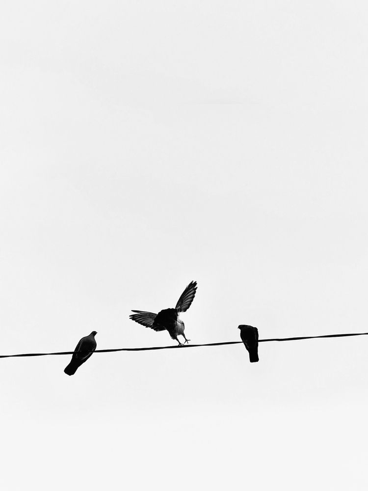 Photograph by Андрей Васильев