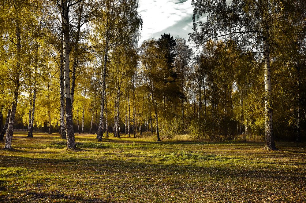 Photograph by Алексей Парамонов