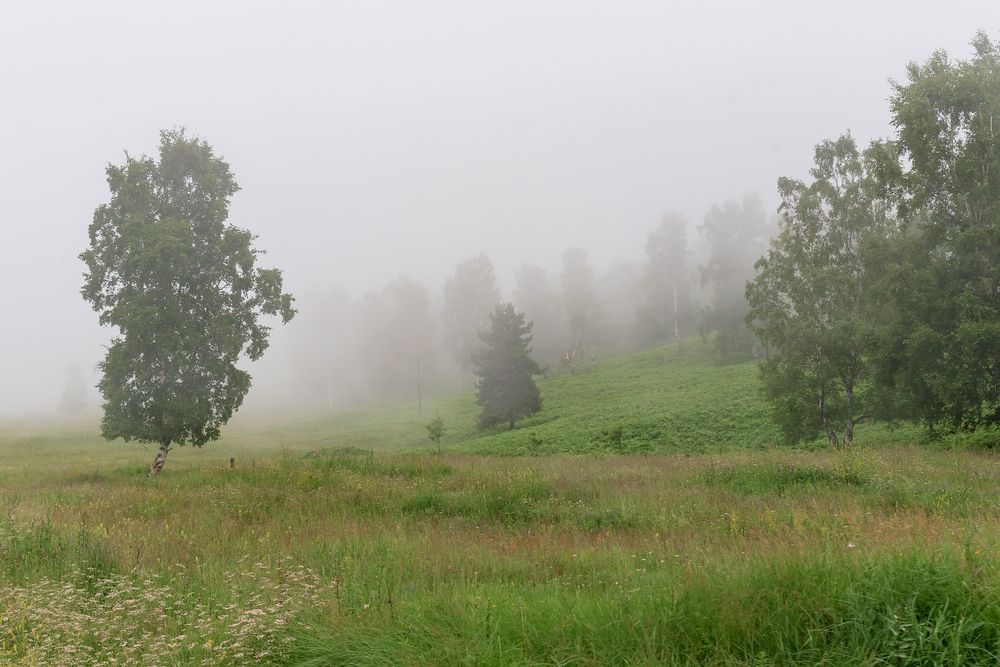Photograph by Виктория Абрамова