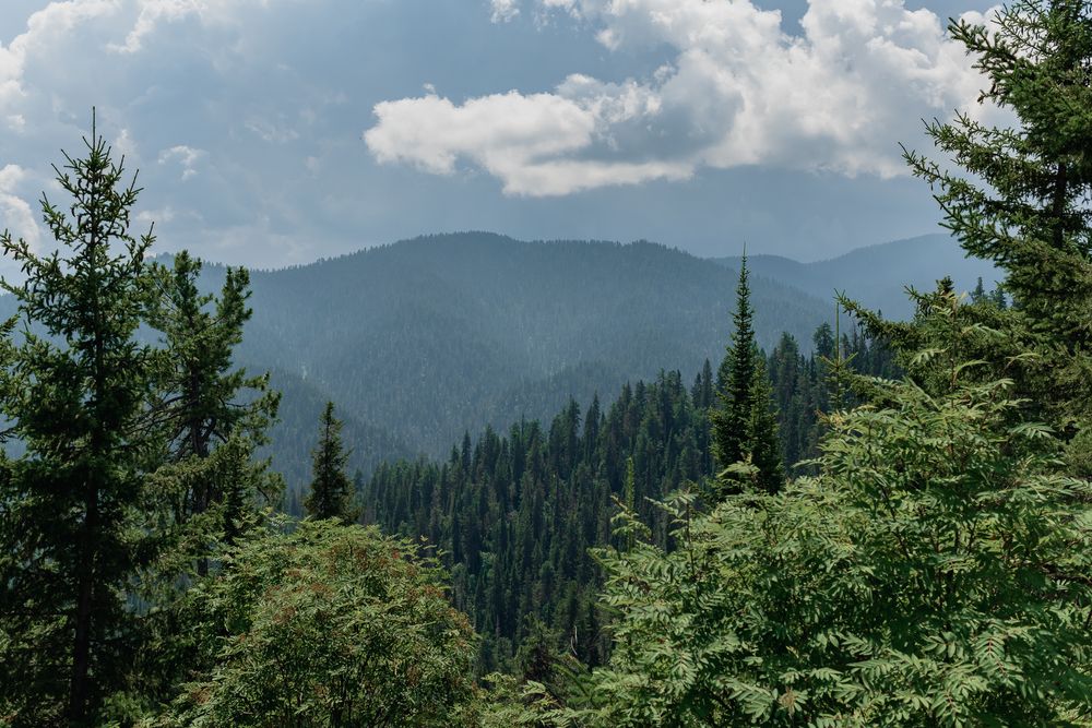 Photograph by Виктория Абрамова