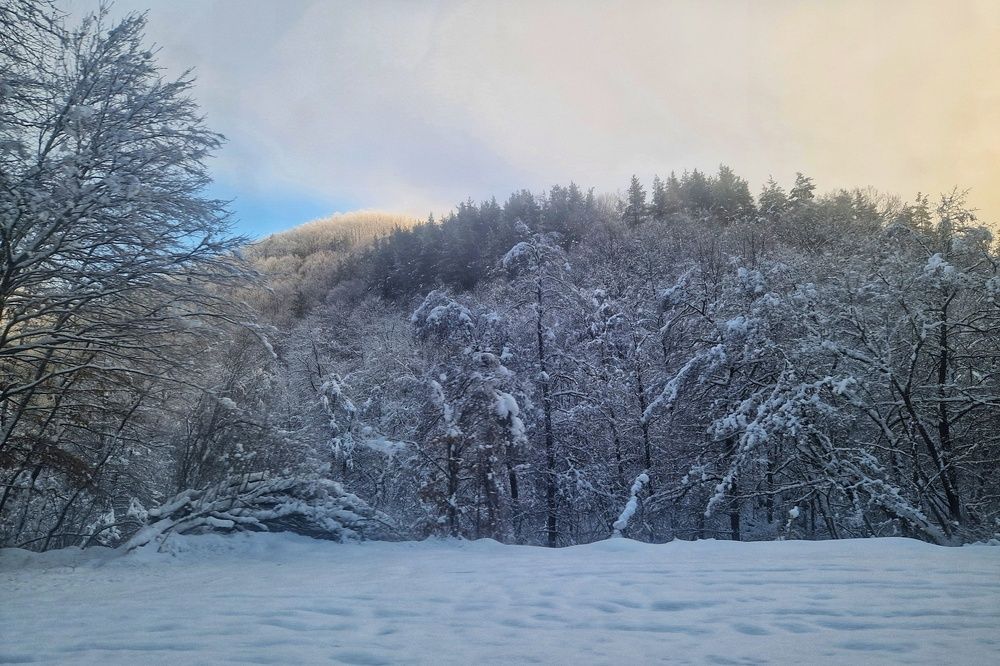 Photograph by Нели Арнаудова