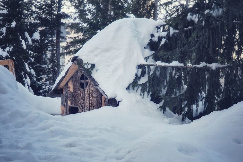 Photograph by Нели Арнаудова