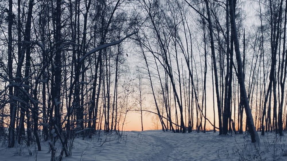 Фотография автора Юлия Карцева