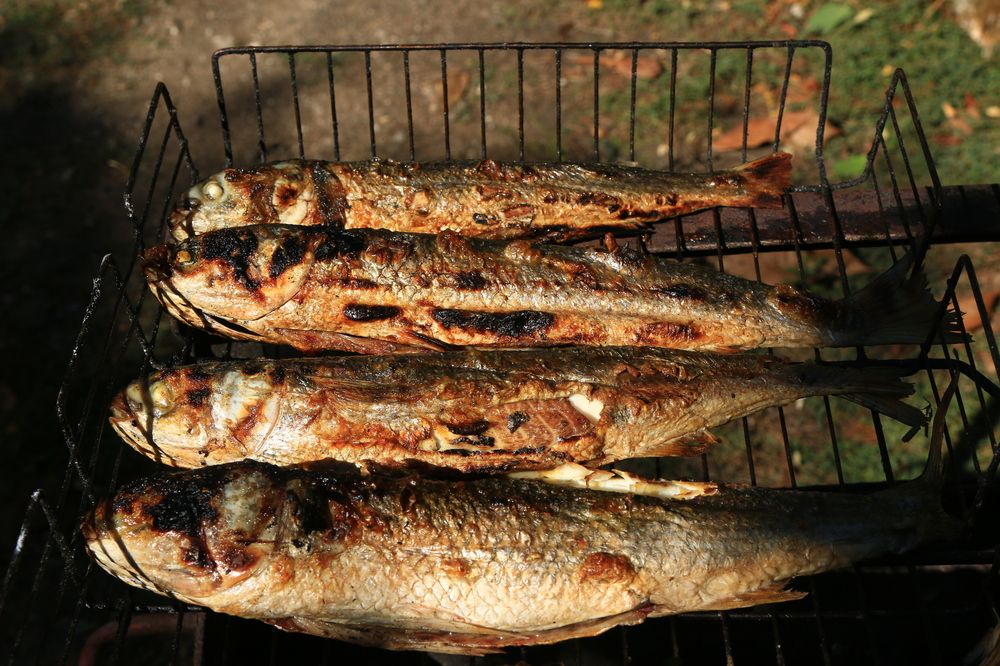 Фотография автора Сергей Кульков