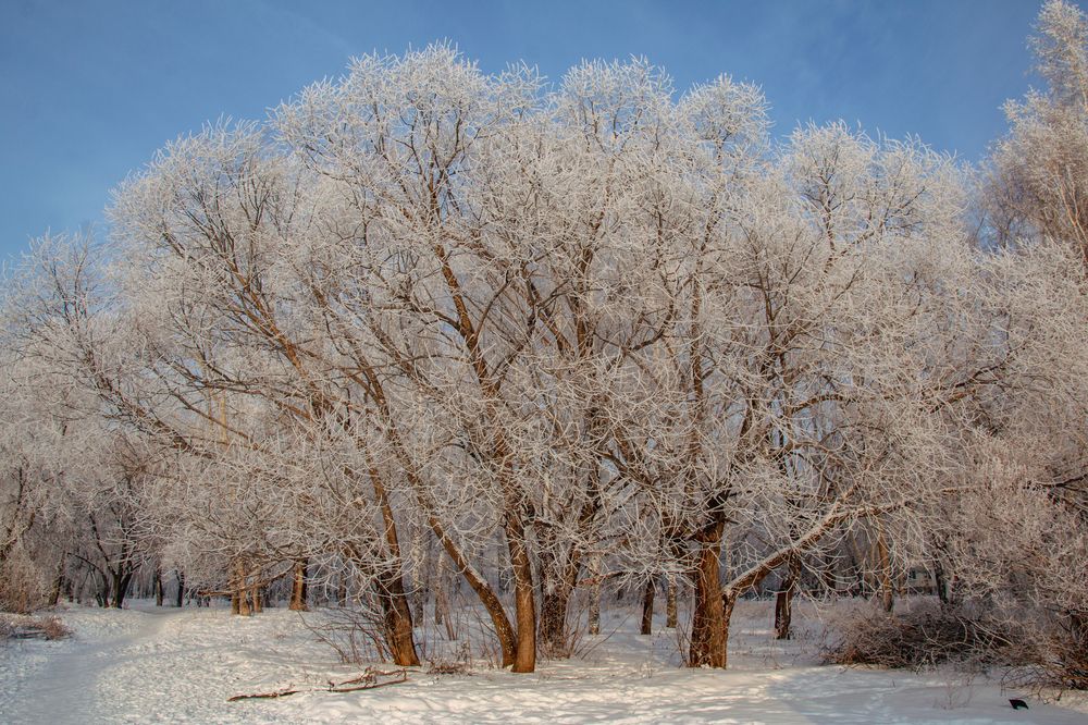 Photograph by Ирина Рыжова