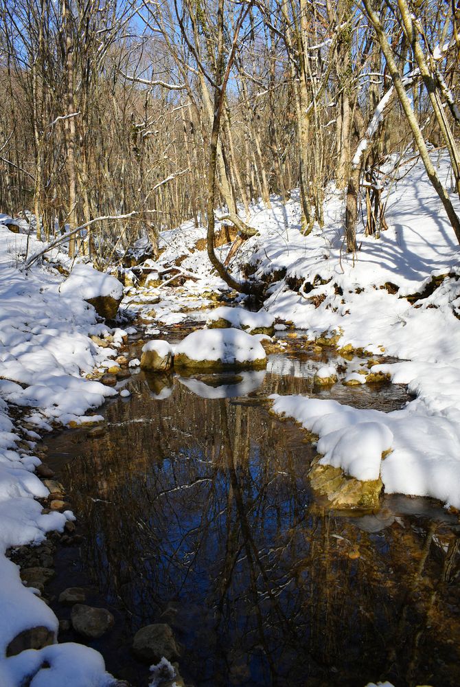 Photograph by Екатерина Гордеева