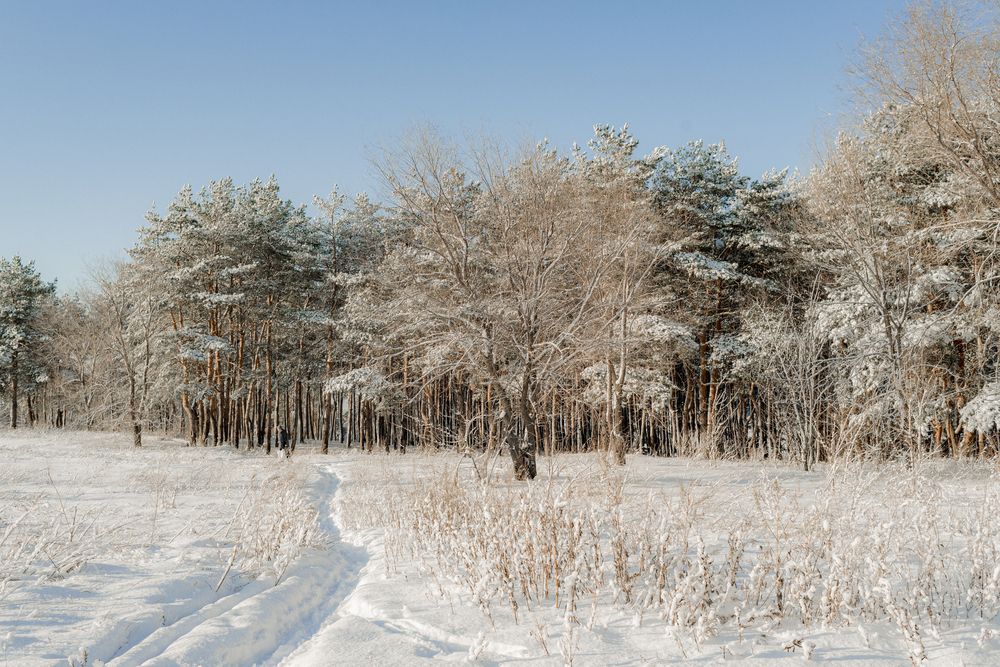 Photograph by Виктория Абрамова