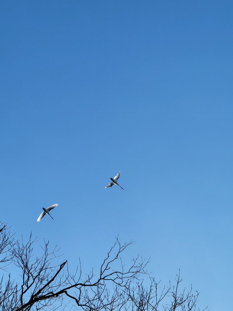 Photograph by Алина