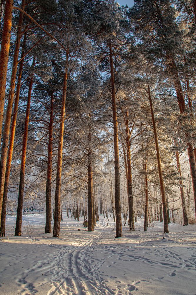 Photograph by Ирина Рыжова