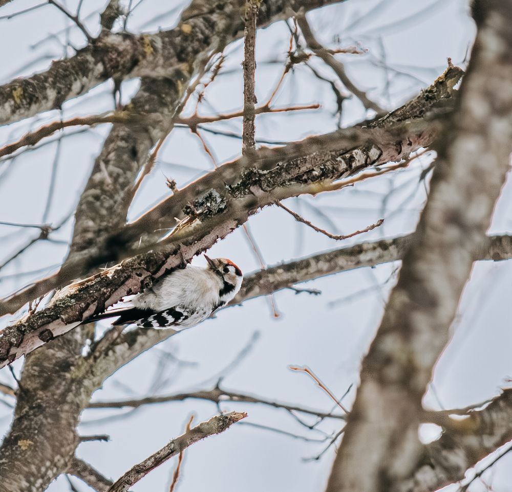 Фотография автора Алина Руденко