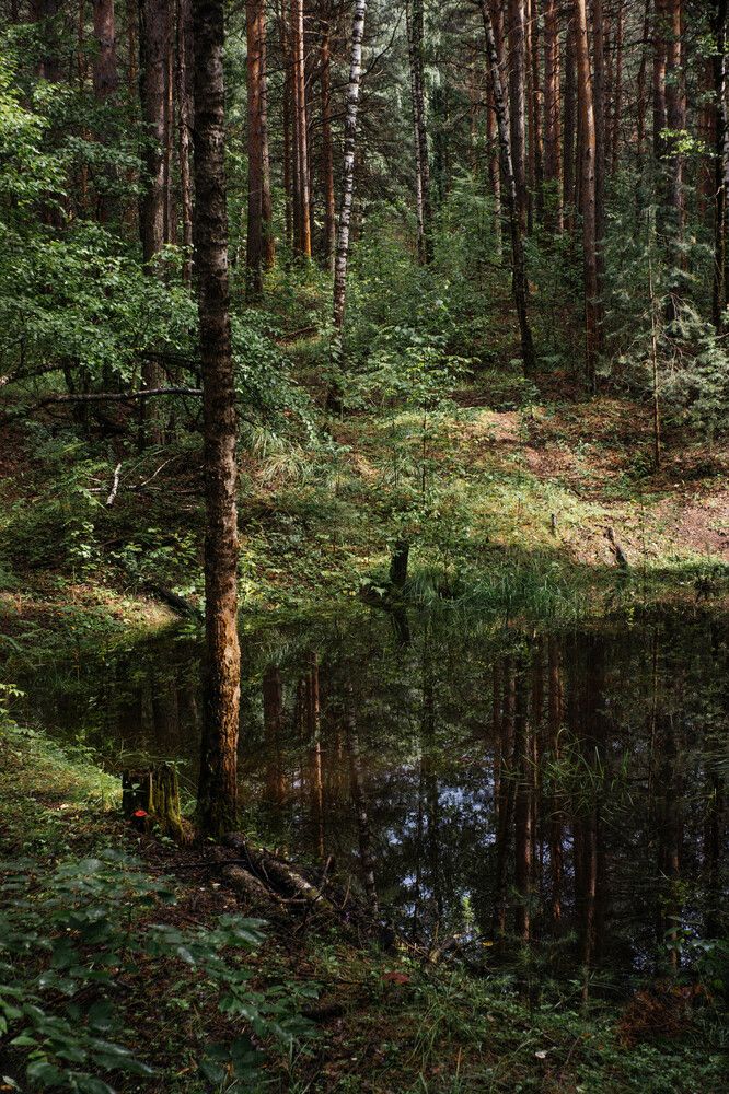 Photograph by Anton Ry