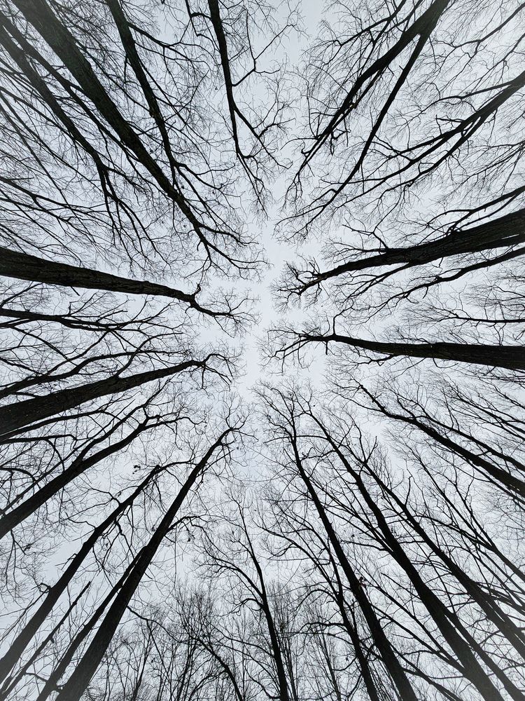 Photograph by Сергей Кесаев