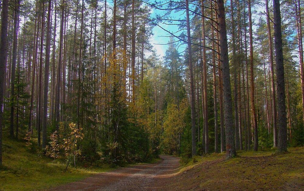 Photograph by Zakharov Matvey