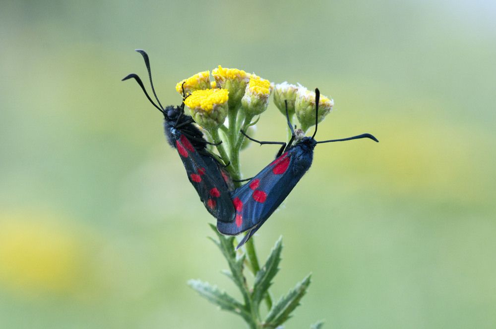 Photograph by Аlessandro