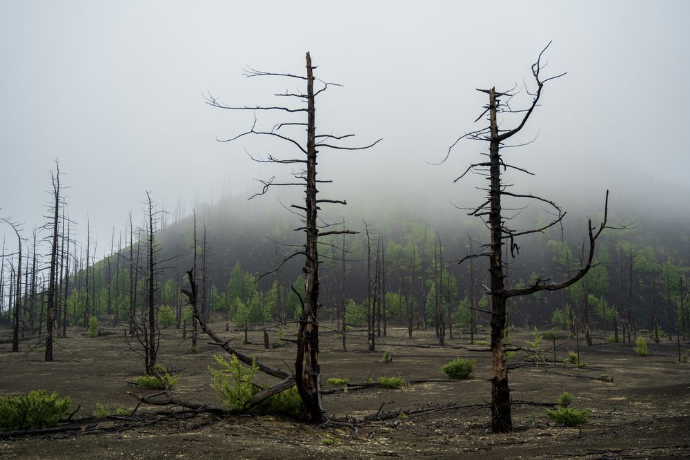 Photograph by Татьяна Решетникова
