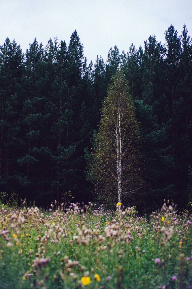 Photograph by Anton Ry