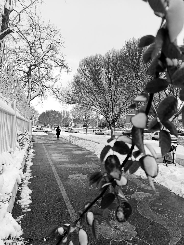 Photograph by MaryamTork