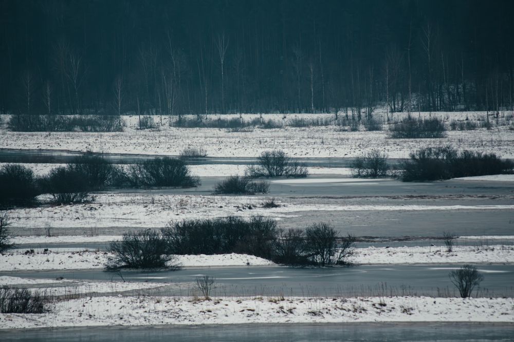 Фотография автора Алина Руденко