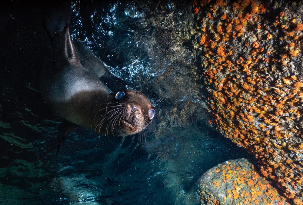 Photograph by Merche Llobera