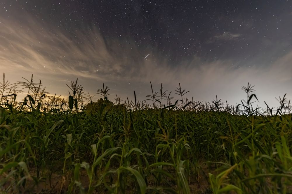 Photograph by Тимофей Овчинников