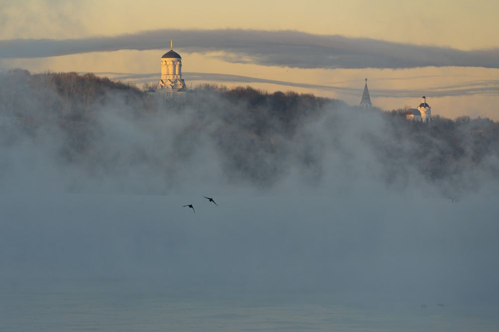 Фотография автора Светлана Зимина