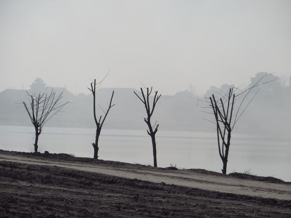 Фотография автора Emil Shahinoglu