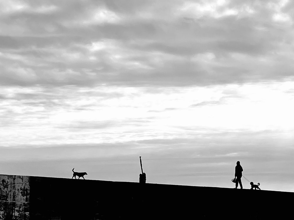 Фотография автора Юлия Яшина