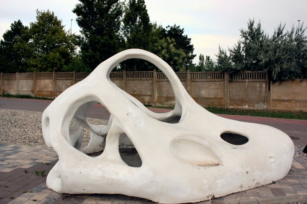 Photograph by Татьяна Кормщикова