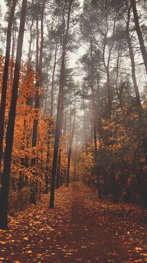 Photograph by Оксана Корепанова