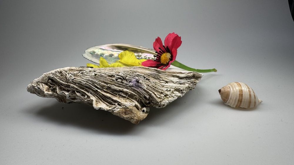 Photograph by Naven Kumar