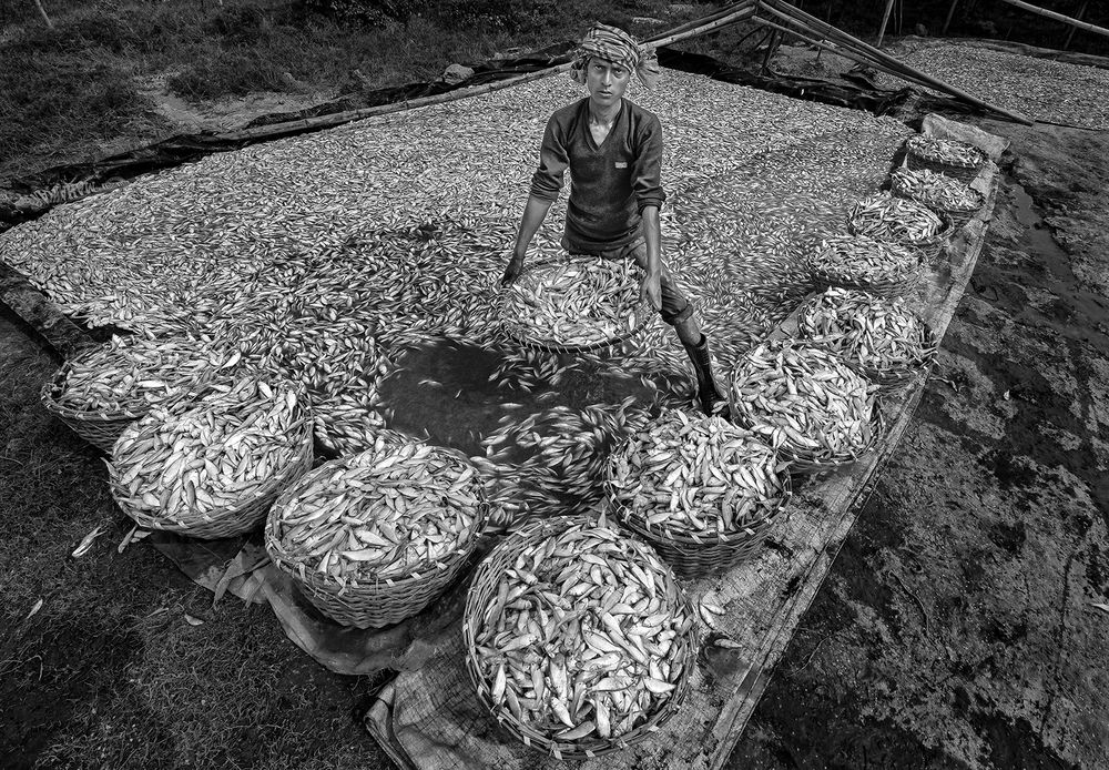 Photograph by somnath pal