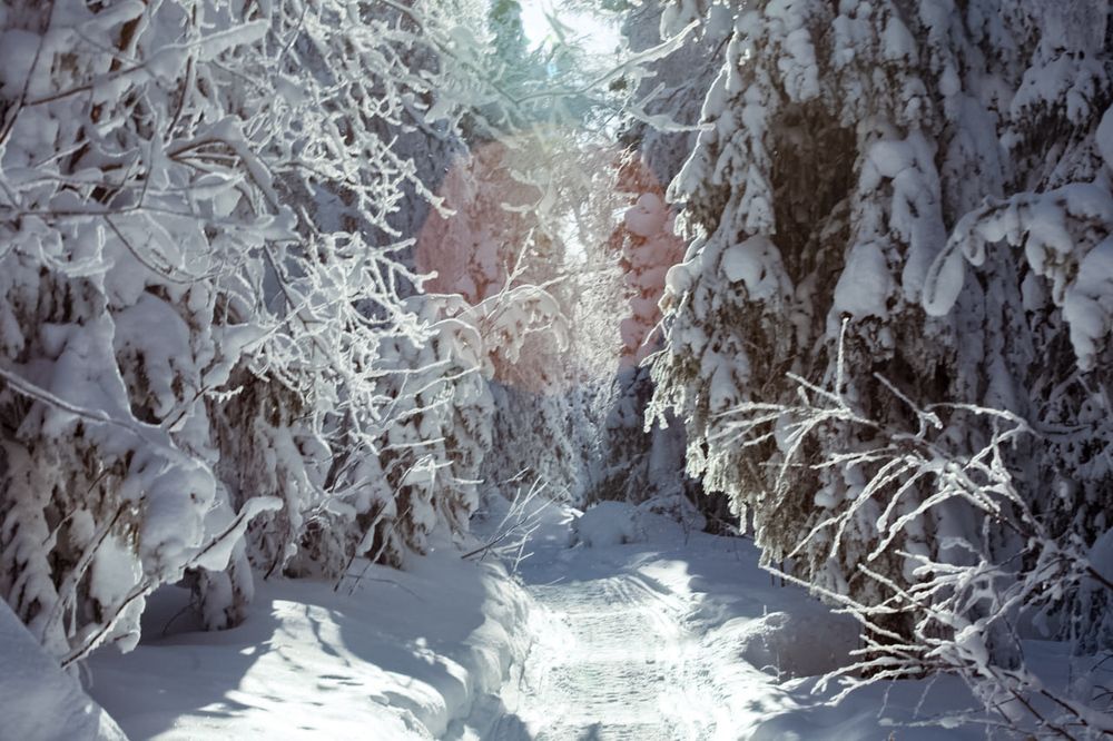 Photograph by Андрей Фадеев